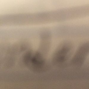 Meet your Posher, Blake